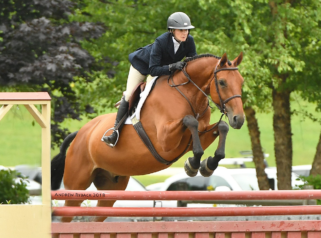 marianne riding horse